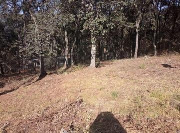 Terreno / Lote · 1200m² · Terreno Rustico, en San Martin Cachihuapan