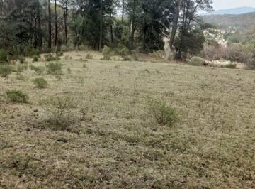 Terreno / Lote · 6201m² · Terreno en San Jerónimo Zacapexco