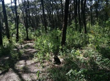 Terreno / Lote · 59526m² · Terreno Rustico en Santa Clara, Morelos