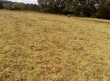 Terreno / Lote · 2927m² · Vendo Terreno Muy Cerca del Centro de Villa del Carbon