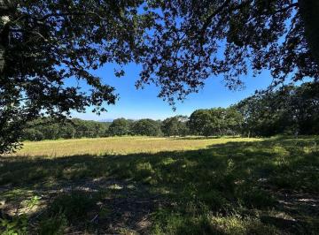 Terreno / Lote · 6312m² · Venta Terreno en Los Temazcales Villa del Carbón