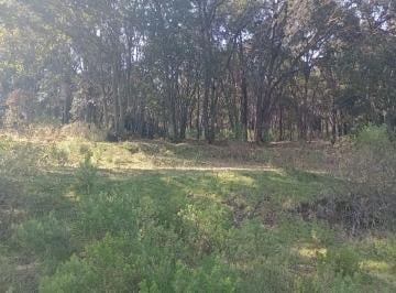 Terreno / Lote · 12228m² · Terreno Boscoso