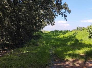 Terreno / Lote · 5000m² · Amplisimo Terreno Boscoso