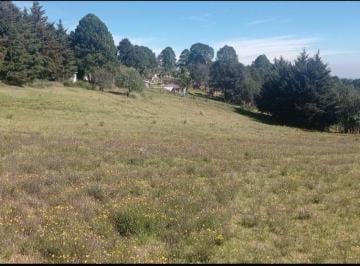 Terreno / Lote · 9573m² · Venta de Terreno en Palo Hueco Villa del Carbon