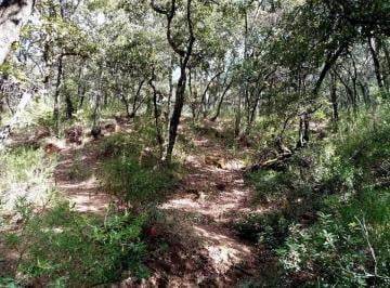 Terreno / Lote · 14550m² · Vendo Terreno en Villa del Carbon