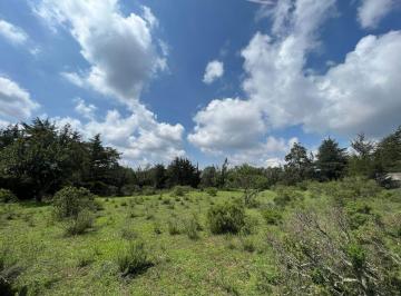 Terreno / Lote · 20000m² · Extenso Terreno con Bosque
