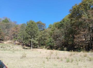 Terreno / Lote · 60000m² · Venta de Terreno en Villa del Carbon