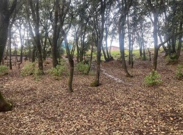 Terreno / Lote · 2234m² · Venta de Terreno Rustico en San Martin Cachihuapan, Villa del Carbon