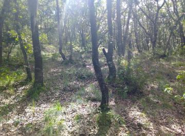 Terreno / Lote · 70000m² · Terreno Rustico en La Cañada, Villa del Carbon