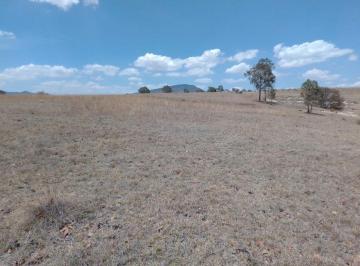 Terreno / Lote · 279805m² · Venta de Terreno con Gran Extencion en Chapa de Mota