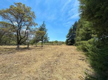 Terreno / Lote · 1000m² · Terreno Rustico en Venta en Villa del Carbon