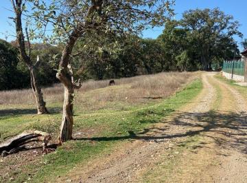 Terreno / Lote · 2523m² · Terreno en San Martin Cachihuapan, Villa del Carbón