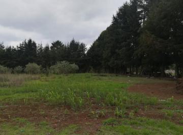 Terreno / Lote · 3838m² · Terreno en Loma de Hacienda (Los Alanices)