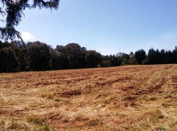 Terreno / Lote · 10000m² · Vendo Terreno en Loma de La Hacienda Villa del Carbon