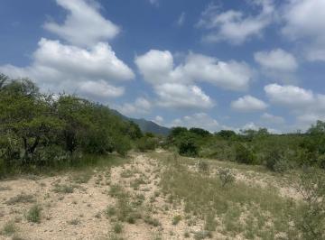 Terreno / Lote · 11556m² · Terrenos en Venta en Valle de Los Angeles