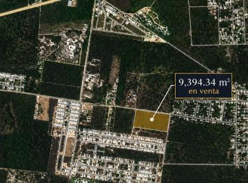 Terreno / Lote , Conkal · Terreno en Venta Listo Para Desarrollar, Conkal Norte, Mérida, Yucatán.