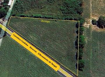 Terreno / Lote , Yanga · Terreno en Renta