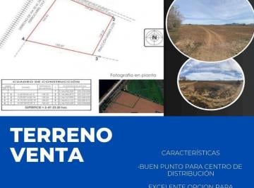 Terreno / Lote · 25000m² · Terreno en Venta en Cd. Cuauhtemoc, Chih.