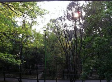 Departamento de 4 habitaciones, Miguel Hidalgo · Departamento de Lujo en Campos Elíseos, Frente Al Bosque
