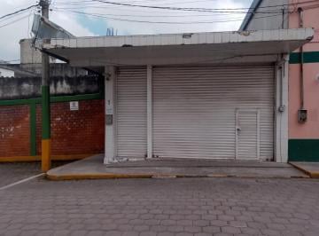 Bodega comercial · 160m² · Bodega - Comercial en Renta en El Centro de Banderilla - (4)