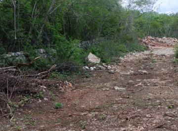 Terreno / Lote , Timucuy · Terreno en Campestre Para Descanso