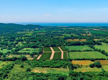 Terreno / Lote , San Pedro Mixtepec · Fraccionamiento/terreno/lotes en Venta Cerca de Puerto Escondido