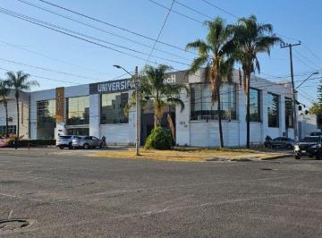 Oficina , Guadalajara · Oficina en Renta Sobre Av Plan de San Luis
