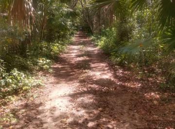 Terreno / Lote , Cancún · Terreno Residencial en Fraccionamiento Privado Bosques del Caribe