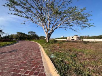 Terreno / Lote · 450m² · Punta Tiburón, Terreno en Venta en Marinas Xxi de 449 m²