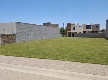 39a158823fbb85b34103a2691326afecdbf59451c692c73d7adf74e1d3cc90d8 · Terreno Quinta Azaleas