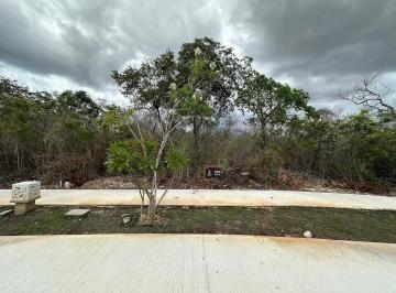 4d358c03ddf1d1496f2c2fb2569ced560cc98ec2a423cff90e691500ad780566 · Terreno en Venta en Yucatán Country Club, Privada Cutzam 2