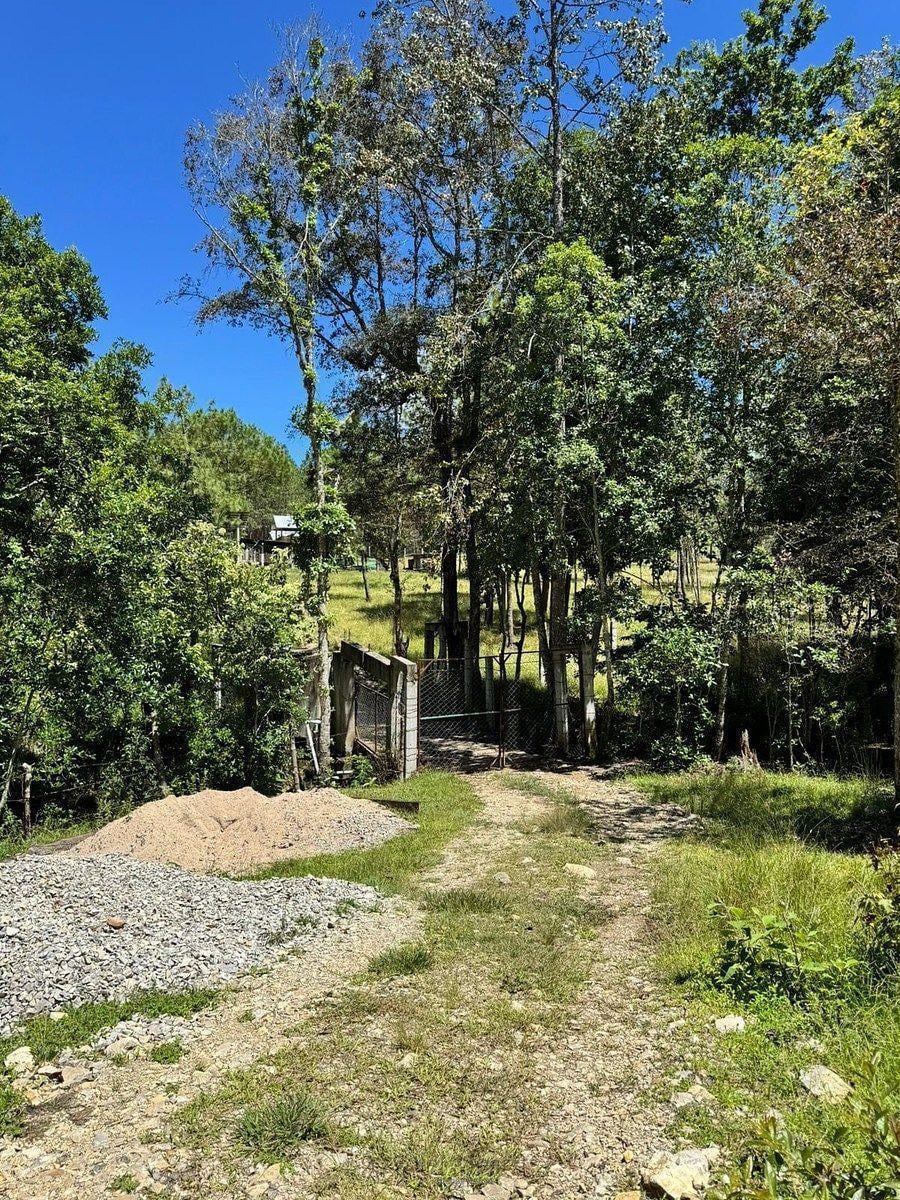 Lotes Campestres en Venta en Jitotol, Chiapas