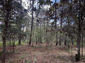Vistas del
Terreno · Terreno con 600 m² en Venta en Lomas de Chiapas!
