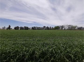 1 · Terreno en Venta Pabellon de Arteaga Aguascalientes