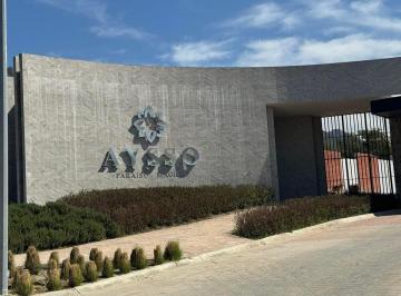 Terreno / Lote · 259m² · Terreno en Venta en Aysso Los Rodriguez Santiago Nl