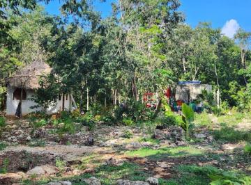 Terreno / Lote · 400m² · Rancho en Venta Leona Vicario 10 Hectáreas Arboles Frutales