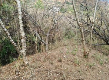 Terreno / Lote · Lote / Terreno en Venta en Santa Cruz Viejo