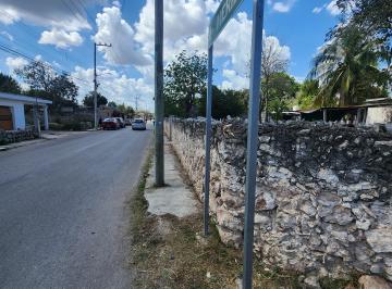 Terreno / Lote , Ticul · Terreno en Renta