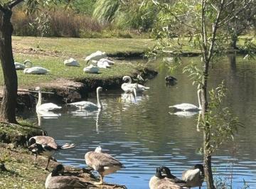 Terreno / Lote , Tapalpa · Praderas del Nogal, Tapalpa, en Venta Lotes Premium, Bosque y Presa