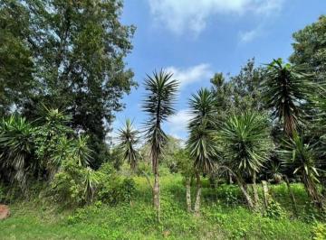 Terreno / Lote · Terreno - Coatepec