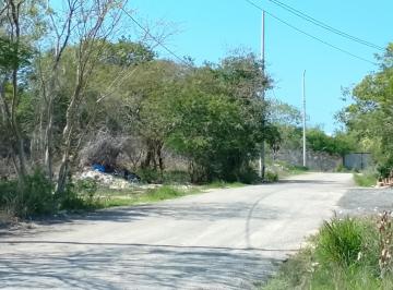 Acceso calle pavimentada · Terreno Para Área Comercial - Las Americas, Parque de Industrias No Contaminantes