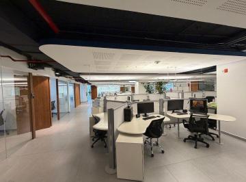 Oficina · 302m² · Oficina en Renta en Polanco V Sección
