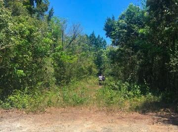 Terreno / Lote , Puerto Morelos · Lote en Venta 2,000 m² — Tumben - Kah, Ruta de Los Cenotes, Puerto Morelos