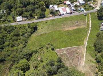 Terreno / Lote · 105m² · Terrenos en Venta Pacho Nuevo