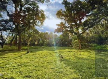Terreno / Lote · 869m² · Terreno en Venta en Briones $3,000 El m²