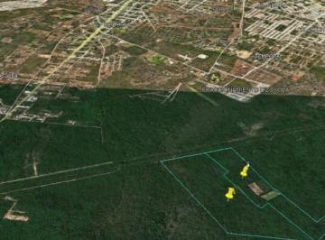 Terreno / Lote · Terreno en Venta en Mérida de 42 Hectáreas en Venta en Kanasín