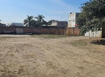 Terreno / Lote de 1 habitación, Zapopan · Terreno en Renta Col. Francisco Sarabia Cerca Bugambilias y Muy Cerca de Lopez