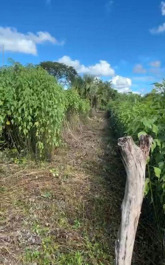 Venta de Terreno en Kantunilkín – Oportunidad de Inversión
