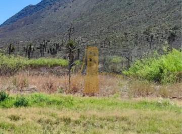 1 · Rancho en Venta en Ramos Arizpe, con Agua, Huerto y Casa de Campo