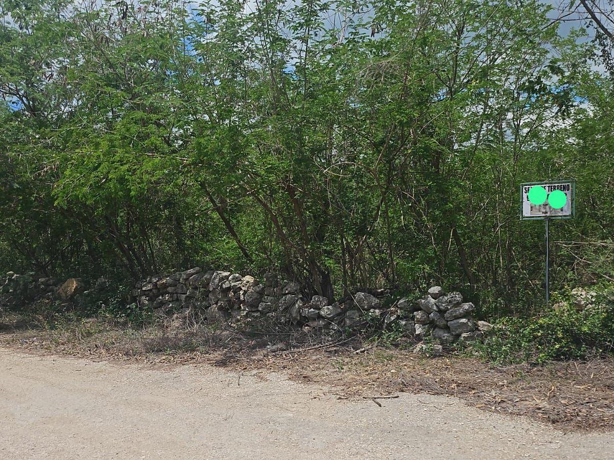 Renta de Terreno Para Bodega - Cedis - Estacionamiento.